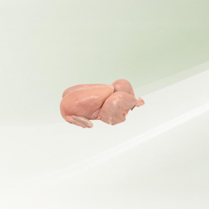 دجاج طابا مسلوخ