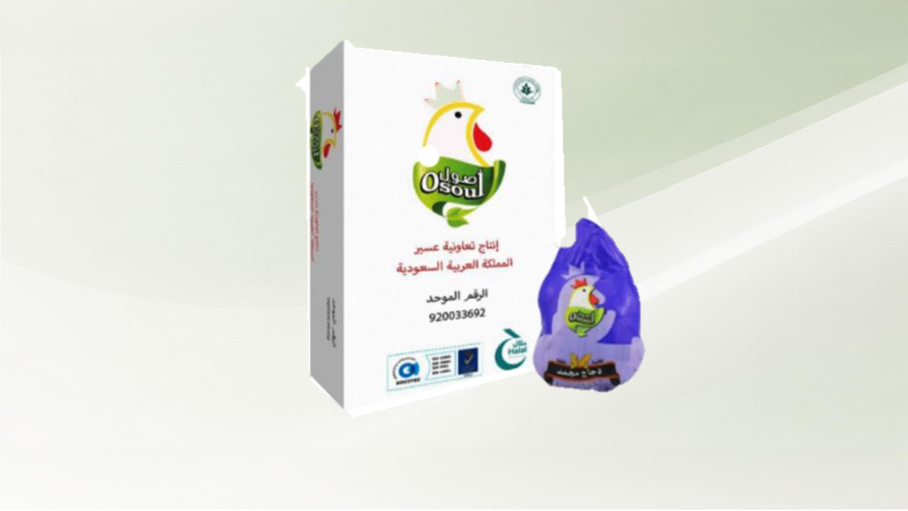 دجاج أصول مجمد 10*800 جم
